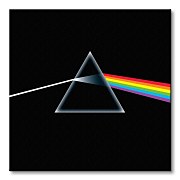 Pink Floyd (Dark side of the Moon) - Obraz WDC95016