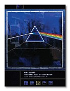 Pink Floyd (30th Anniversary) - Obraz WDC90278