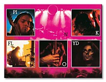 Pink Floyd (Live) - Obraz WDC92060