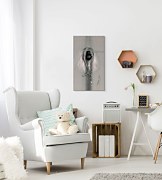 Ruban Rose - Obraz WDC44708