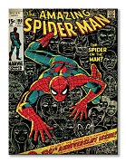 Spider-Man (100th Anniversary) - Obraz WDC92175