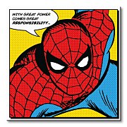 Spider-man (Quote) - Obraz WDC98054