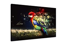 Obraz Parrot 29353