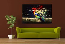 Obraz Parrot 29353