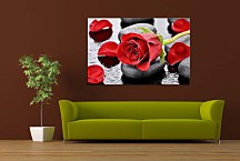 Obraz Red rose zs24793