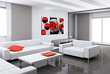 Obraz Red rose zs24793