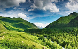 Obraz na stenu ZS - bez pomeru strán