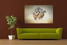 Obraz Sova abstract zs24816