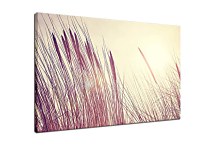 Obraz Steblá trávy zs29106