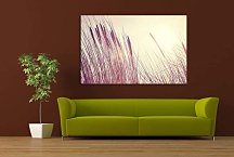 Obraz Steblá trávy zs29106