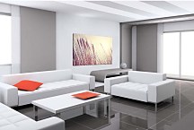 Obraz Steblá trávy zs29106