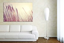 Obraz Steblá trávy zs29106