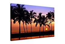 Obraz Twilight zs24765