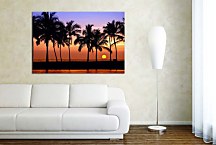 Obraz Twilight zs24765