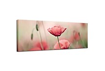 Panorámy Obrazy Kvety zs18635