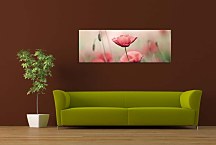 Panorámy Obrazy Kvety zs18635