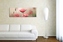 Panorámy Obrazy Kvety zs18635