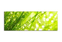 Obrazy Panoráma Kvety zs18606