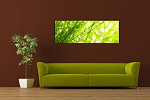 Obrazy Panoráma Kvety zs18606