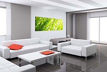 Obrazy Panoráma Kvety zs18606