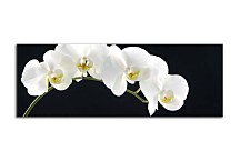 Obraz Panoráma Kvety zs18547