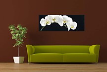 Obraz Panoráma Kvety zs18547