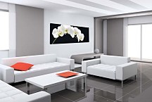 Obraz Panoráma Kvety zs18547