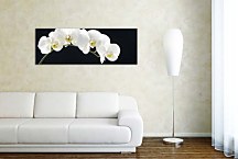 Obraz Panoráma Kvety zs18547