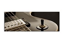 Obraz gitara - Panoráma zs44