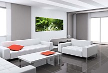 Obraz Horský potok zs3227