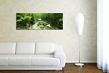 Obraz Horský potok zs3227