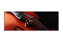 Obraz Husle Panoráma zs18636