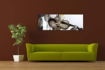 Obraz Huslistka Panoráma zs3314