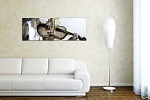 Obraz Huslistka Panoráma zs3314