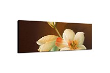 Obraz Kvet Panoráma zs18524