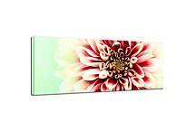 Obrazy Kvetov na stenu zs3133