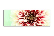 Obrazy Kvetov na stenu zs3133