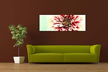 Obrazy Kvetov na stenu zs3133