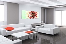 Obrazy Kvetov na stenu zs3133