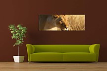 Panoráma Obraz Levica zs3171