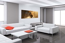 Panoráma Obraz Levica zs3171