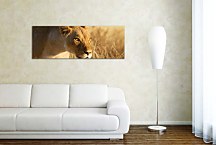 Panoráma Obraz Levica zs3171