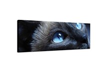 Panoráma Obraz Mačka zs3169