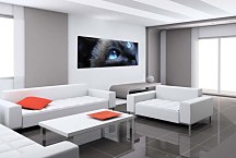 Panoráma Obraz Mačka zs3169