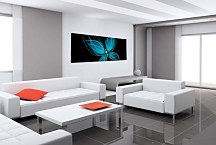 Obraz Motýľ panoráma zs520