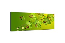 Orchidea Obraz zs18638