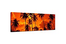 Obraz Palmy zs18542