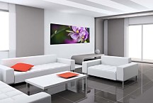 Kvety Obrazy Panoráma zs18590