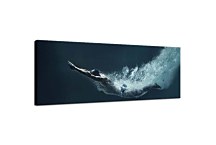 Obraz Panoráma Šport zs298