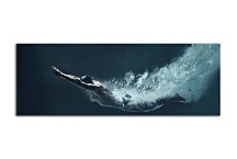 Obraz Panoráma Šport zs298